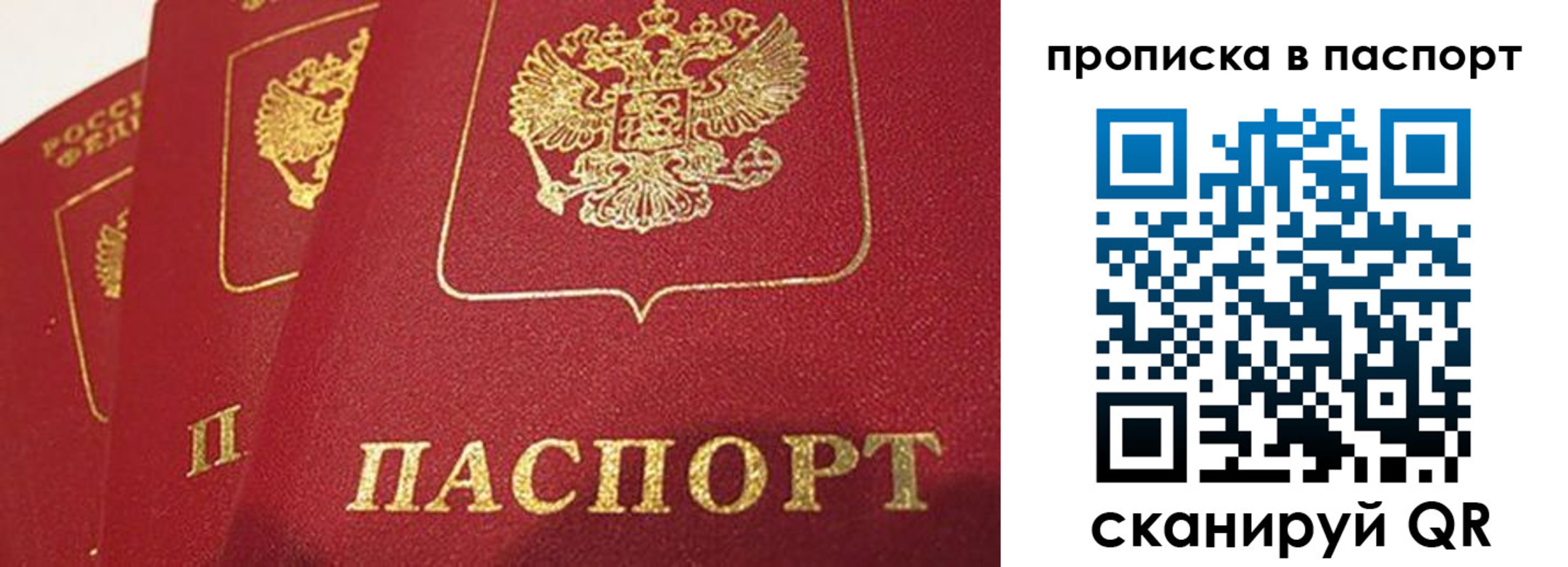 прописка гарантия в Ростове